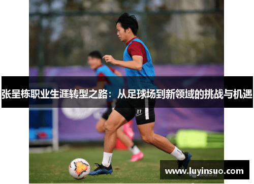 张呈栋职业生涯转型之路：从足球场到新领域的挑战与机遇