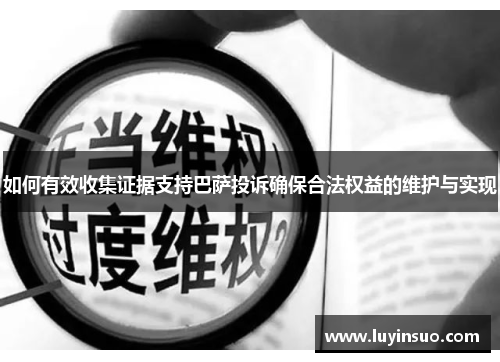 如何有效收集证据支持巴萨投诉确保合法权益的维护与实现