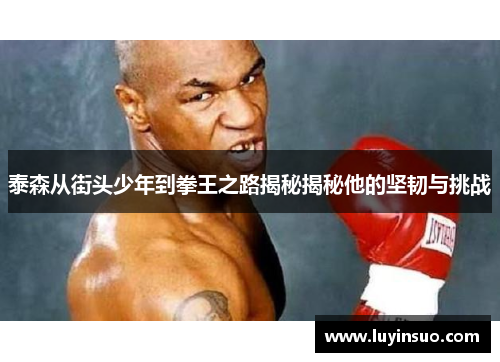 泰森从街头少年到拳王之路揭秘揭秘他的坚韧与挑战
