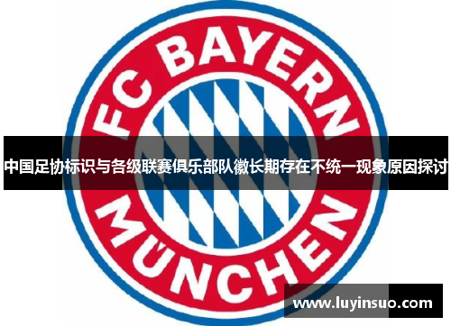 中国足协标识与各级联赛俱乐部队徽长期存在不统一现象原因探讨