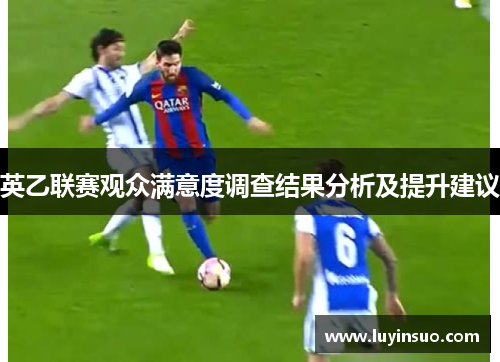 英乙联赛观众满意度调查结果分析及提升建议